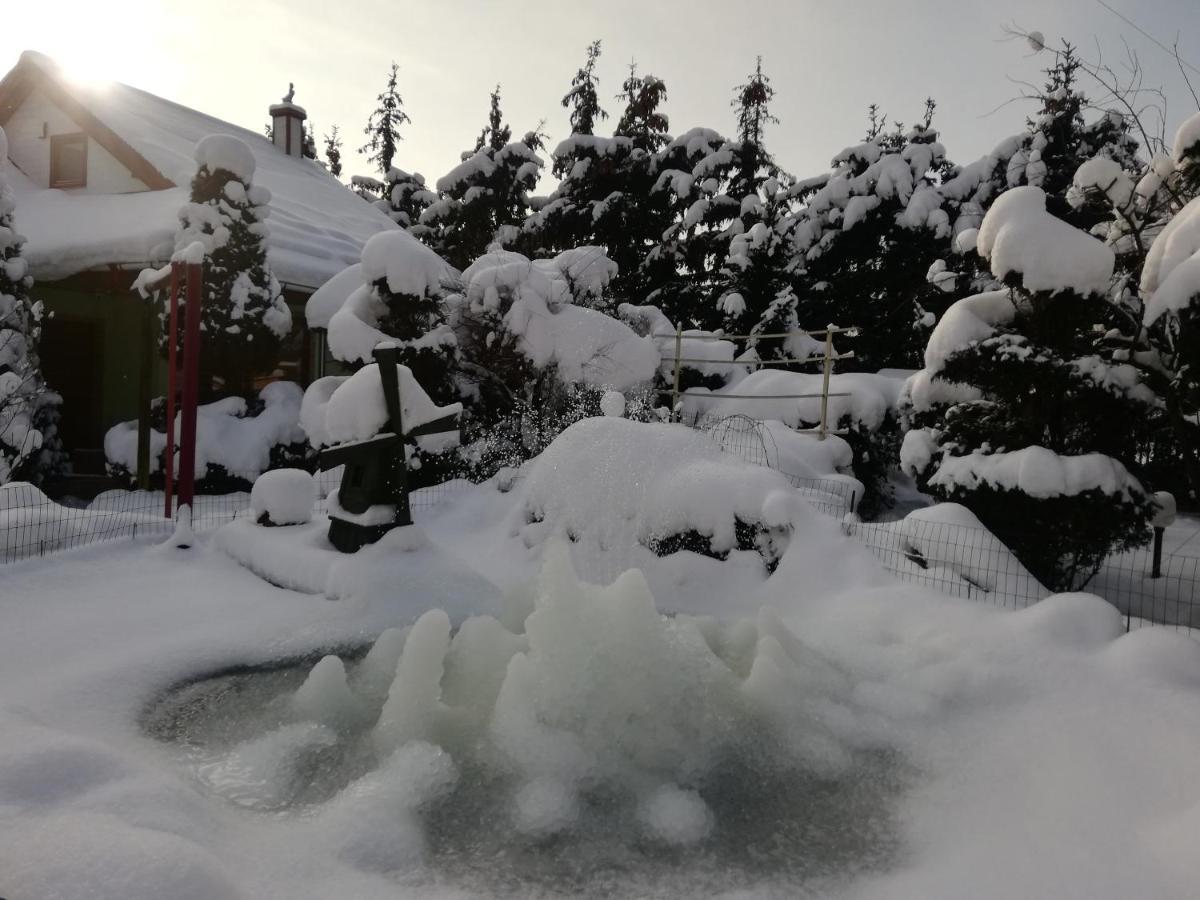 Noclegi I Restauracja Gracja Bełchatów Dış mekan fotoğraf