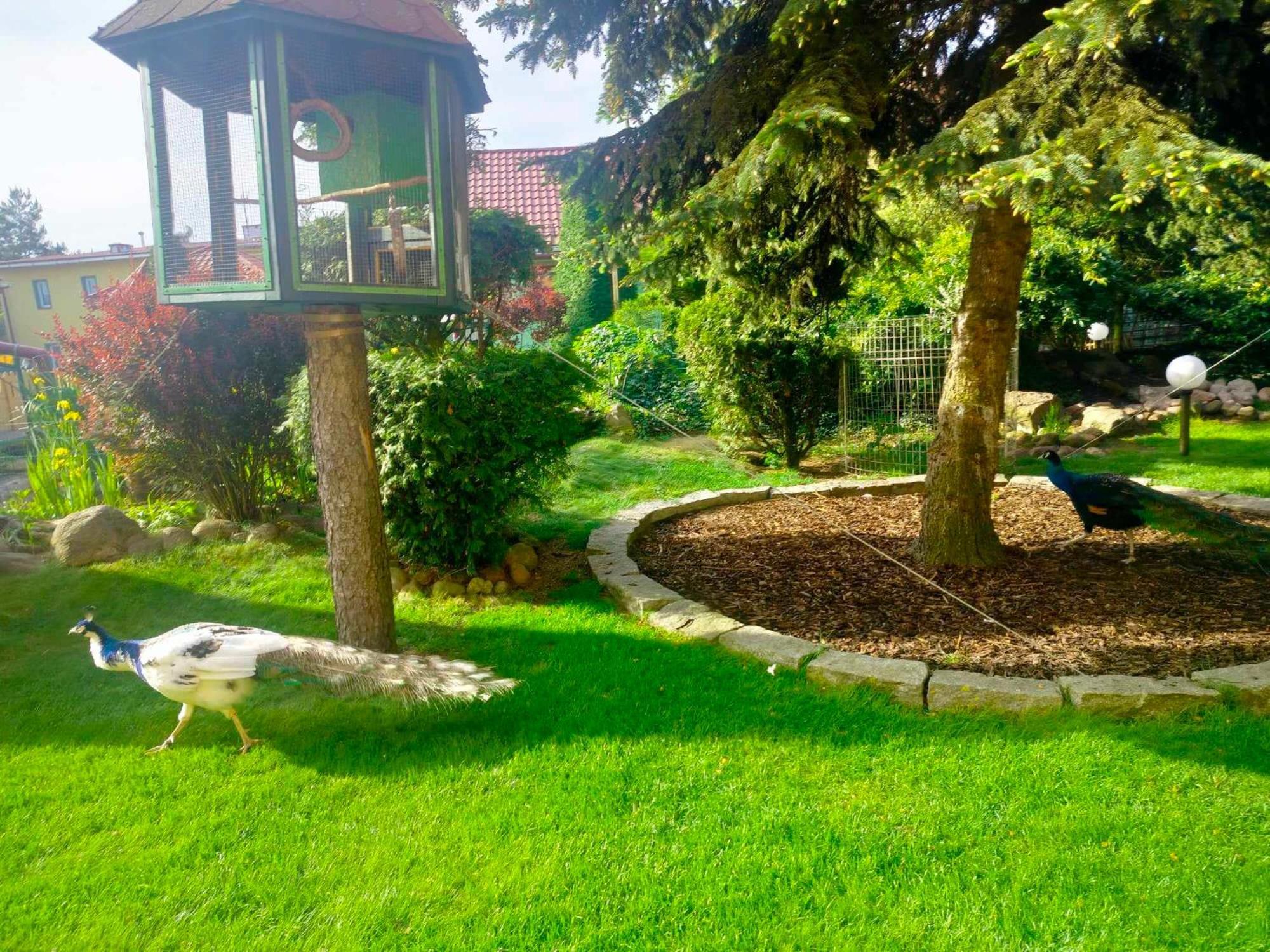 Noclegi I Restauracja Gracja Bełchatów Dış mekan fotoğraf